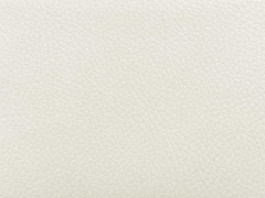 Rex Kunstleder gepr�gte Optik - creme