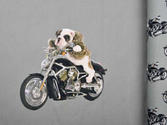 Jersey Stenzo Panel 2 in 1 Motorrad Hund grau (gr�nlich)