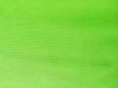 Canvas Stoff -hellgr�n (limette)