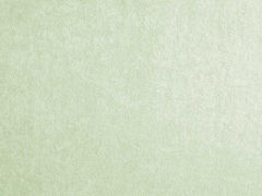 Sweat Frottee elastisch uni, hellmint
