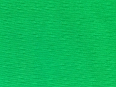 Canvas Stoff - leuchtendes Gr�n