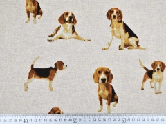 Leinenlook Beagle Hunde, natur