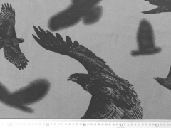 RESTST�CK 31,5 cm angerauter Sweat Adler, schwarz auf grau