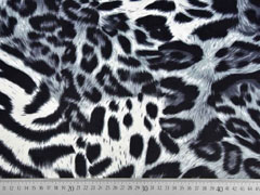 elastischer Samt Leoparden Muster, grau schwarz