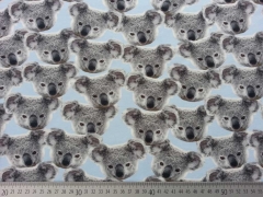 Jersey Digitaldruck Koalas - hellblau
