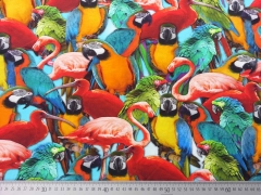 Jersey Digitaldruck Flamingos & Papagaien - bunt