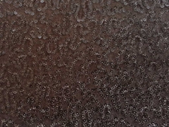 RESTST�CK 88 cm Stretch Samt mit Pailletten - taupe