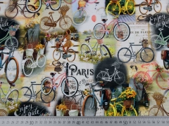 Jersey Digitaldruck Fahrr�der Romantik Vintage Bikes