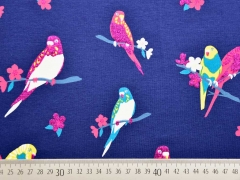 Jersey Kanarienv�gel Glitzer, pink mittelblau