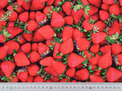 Jersey Digitaldruck Erdbeeren