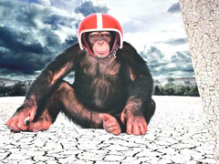 Jersey Affe 2 in 1 Panel Digitaldruck