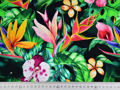 Jersey Digitaldruck Dschungel Blumen Bl�tter Orchideen, gr�n schwarz
