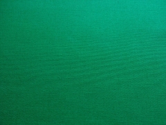 Canvas Stoff - gr�n