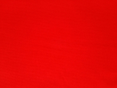 Canvas Stoff - rot