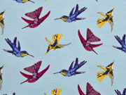 Jersey Kolibris Little Darling, hellblau