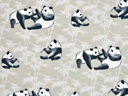 Jersey Pandab�ren, hellbeige