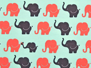 Jersey Elefanten, orange mint