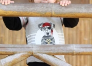 French Terry Hund Pirat Panel Stenzo, grau