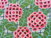 Laminierte Baumwolle Amy Butler Tea Rose