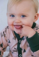 Jersey Elche Tannenb�ume, helles altrosa