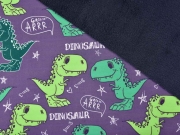 Softshell Stoff Dinosaurier Digitaldruck, grau