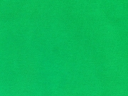 Canvas Stoff - leuchtendes Gr�n