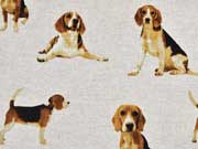Leinenlook Beagle Hunde, natur