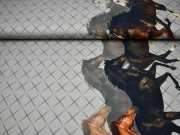 Jersey Digitaldruck Pferde, grau