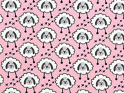 Bio-Jersey Stenzo Schafe Kreuze, rosa