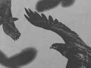 RESTST�CK 31,5 cm angerauter Sweat Adler, schwarz auf grau