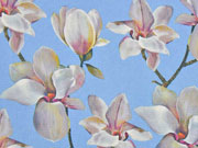 Blusenstoff Digitaldruck Magnolien, hellblau