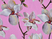 Blusenstoff Digitaldruck Magnolien, rosa