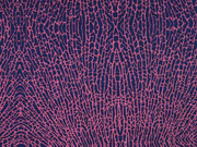 Leichter Punto di Roma grafisches Muster Animalprint, dunkelblau bordeaux