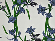 Viskose Leinen Blumen, gr�n grau auf weiss