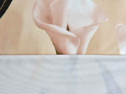 Samtjersey elastisch Callas Blumen, beige sand