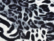 elastischer Samt Leoparden Muster, grau schwarz