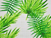 Baumwolle Viskose Palmbl�tter, gr�n wei�