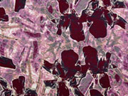 Viskosejersey abstraktes Blumenmuster, weinrot