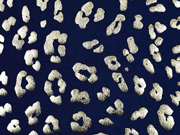 Jersey Leopardenmuster gold metallic, dunkelblau