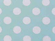 BW Punkte 2,2 cm - weiss auf hellmint