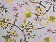 XXWildlederimitat Kirschbl�ten, altrosa hellgrau