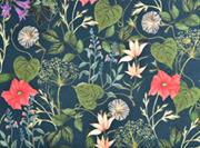 Canvas Blumen Bl�tter Digitadruck, coralle aprikot auf dunkelgr�n