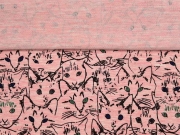 French Terry Katzen Gesichter, aprikot