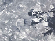 Viskosejersey Tie Dye Batik, schwarz