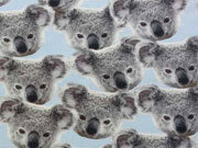 Jersey Digitaldruck Koalas - hellblau