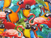 Jersey Digitaldruck Flamingos & Papagaien - bunt