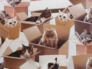 RESTST�CK 71 CM Jersey Digitaldruck Cats and Boxes