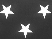 BW Sterne 5cm - wei� auf schwarz
