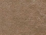 Sweat Frottee uni, hellbraun