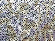 Multicolour Pailletten Stoff